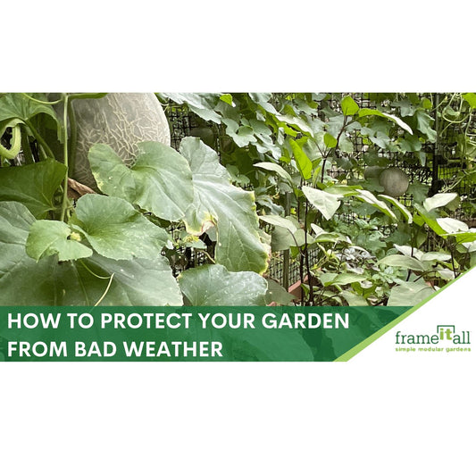 How to Protect Your Garden from Bad Weather