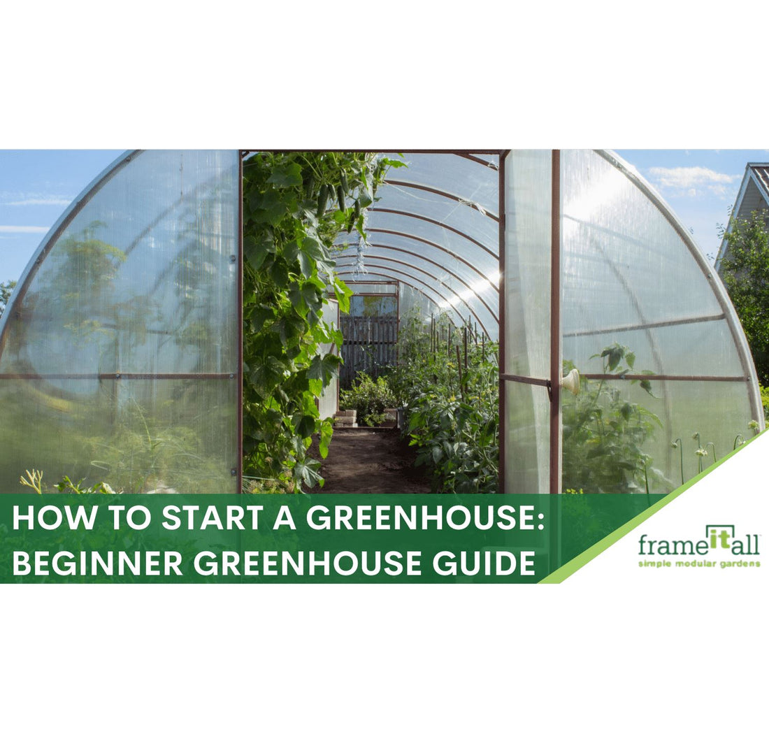 How to Start a Greenhouse: Beginner Greenhouse Guide