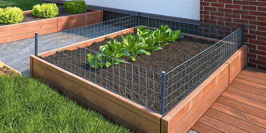 How to Stop Moles and Voles in Raised Beds
