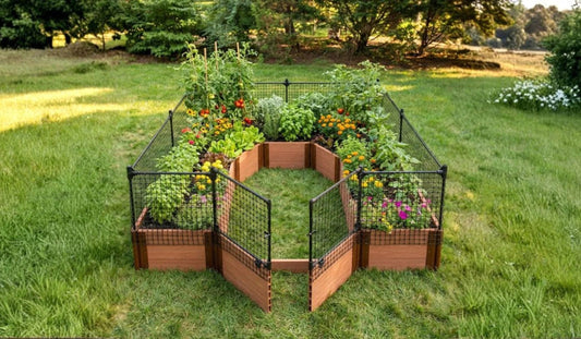 How to Use Hardware Cloth for Raised Beds