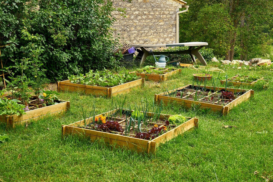 Is Leveling a Raised Garden Bed Necessary?