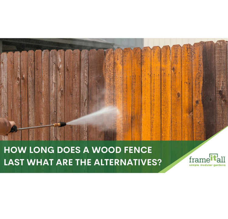 How Long Does a Wood Fence Last Life Span and more Frame It All