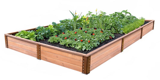 Organic Garden Pest Control Without Chemicals