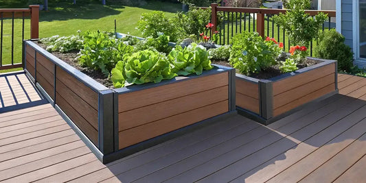 Patio Vegetable Garden Layout Guide for Small Spaces