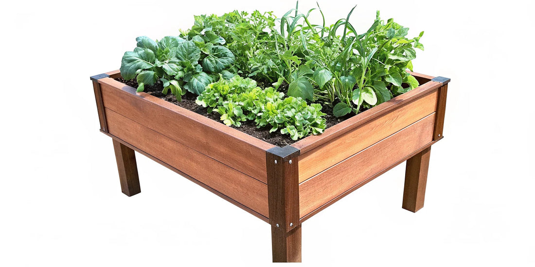 Plastic Raised Garden Beds on Legs: 7 Benefits