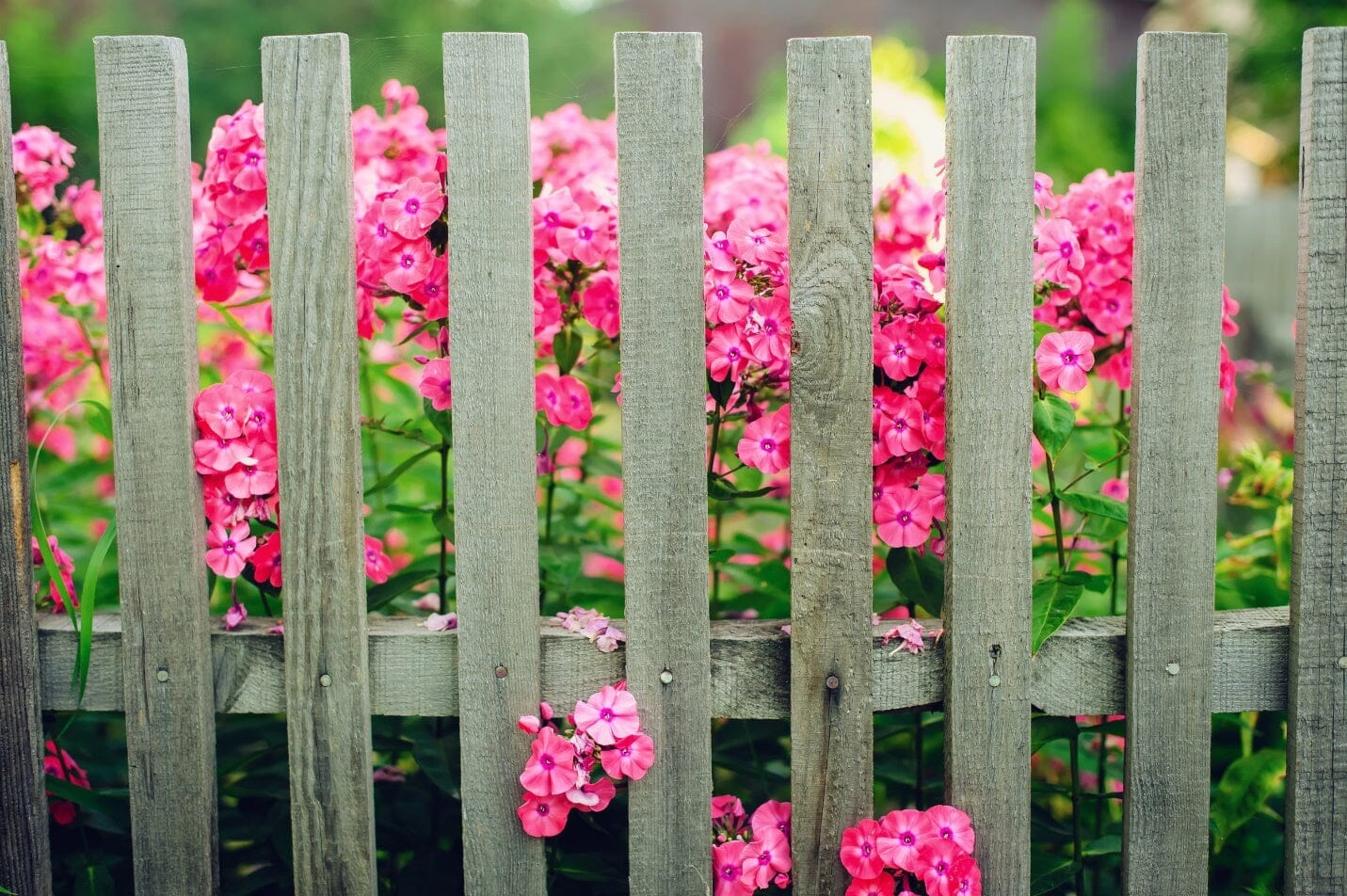 Property Fence Line Landscaping Tips