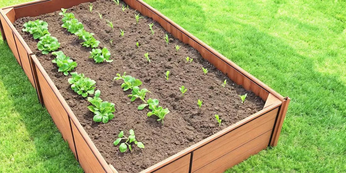 Raised Garden Bed Soil Mix for Better Drainage