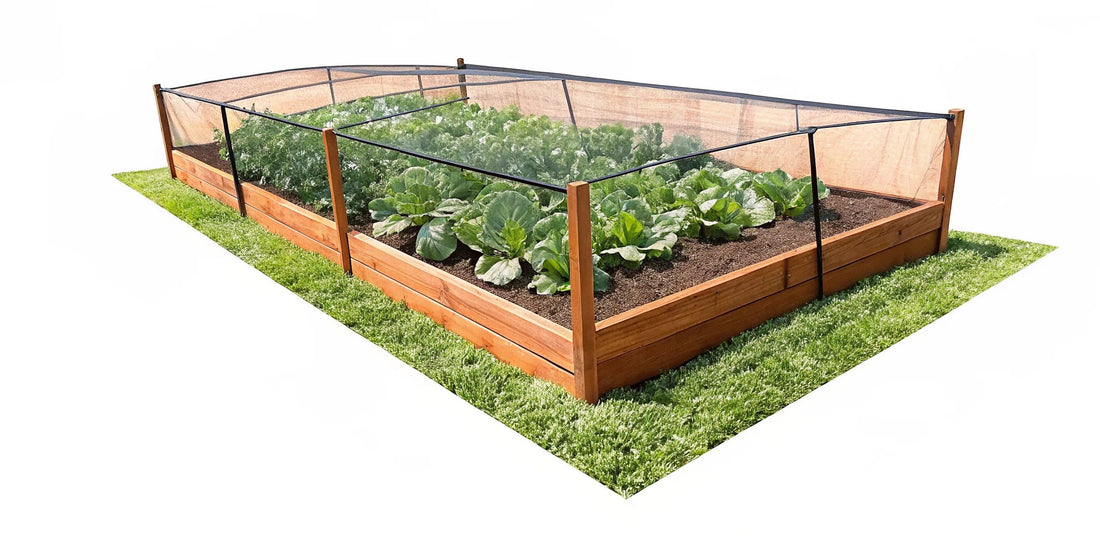 Raised Garden Bed With Cover: Choose Protection