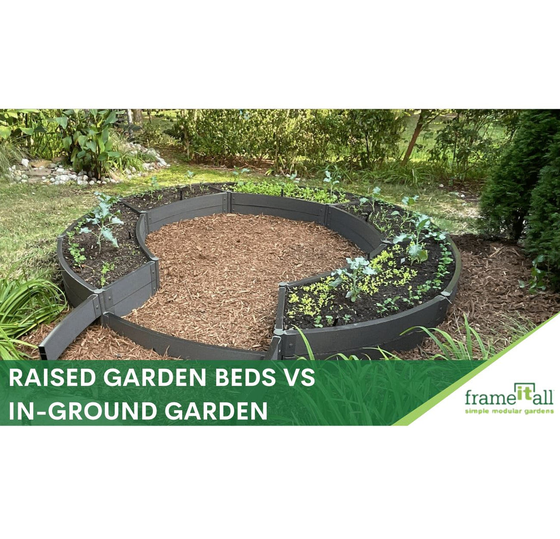 Raised Garden Beds vs In-Ground Garden