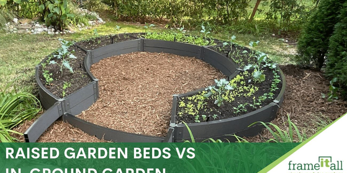 Raised garden beds vs inground garden Frame It All