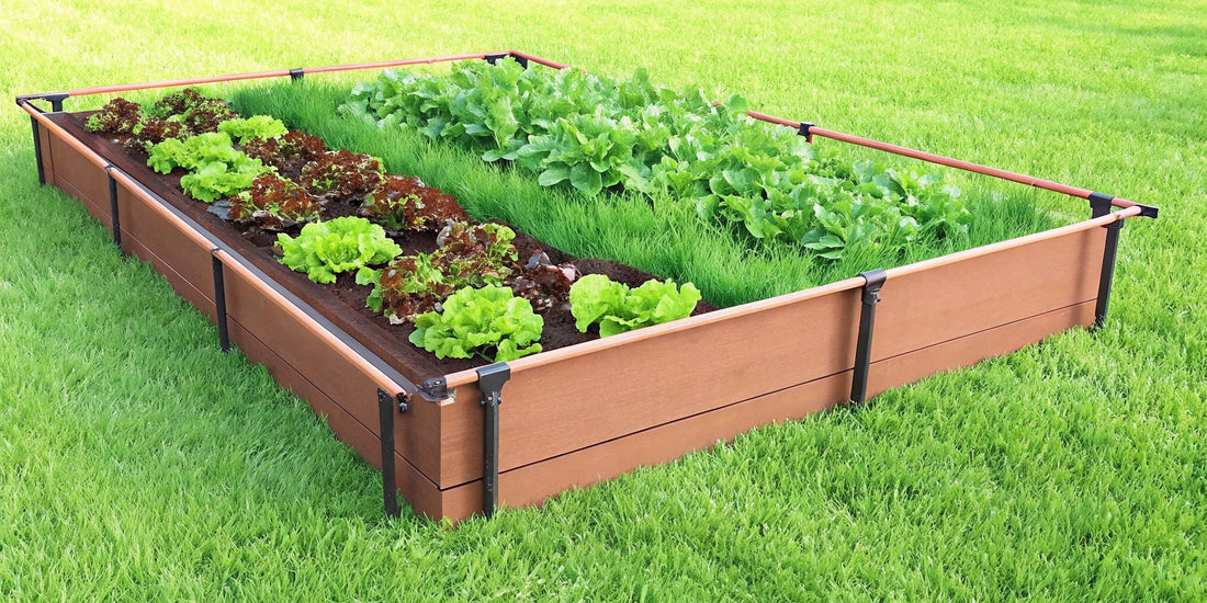 Raised Garden Pest Control: A Complete Guide