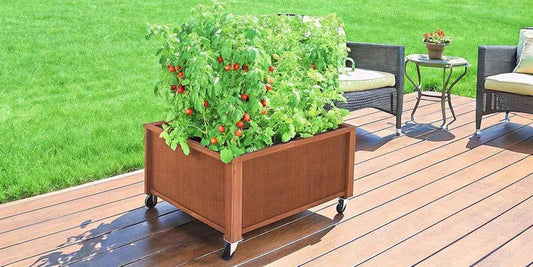 Self Watering Elevated Planter vs Raised Garden Bed: Which Is Right for You?