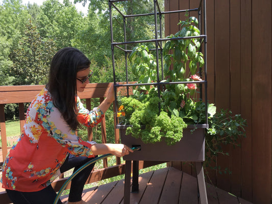Self-Watering vs. Raised Bed: Which Should You Pick?