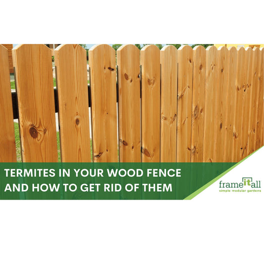 Signs of Termites in Your Wood Fence and How to Get Rid of Them