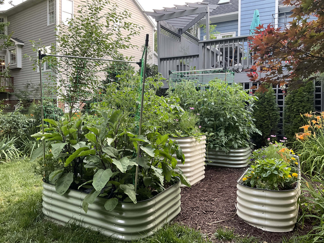 The Pros and Cons of Metal Raised Garden Beds