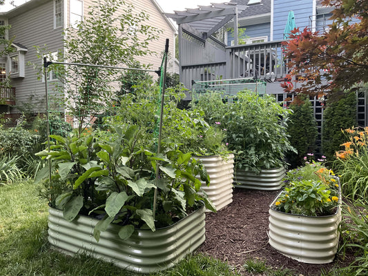 The Pros and Cons of Metal Raised Garden Beds