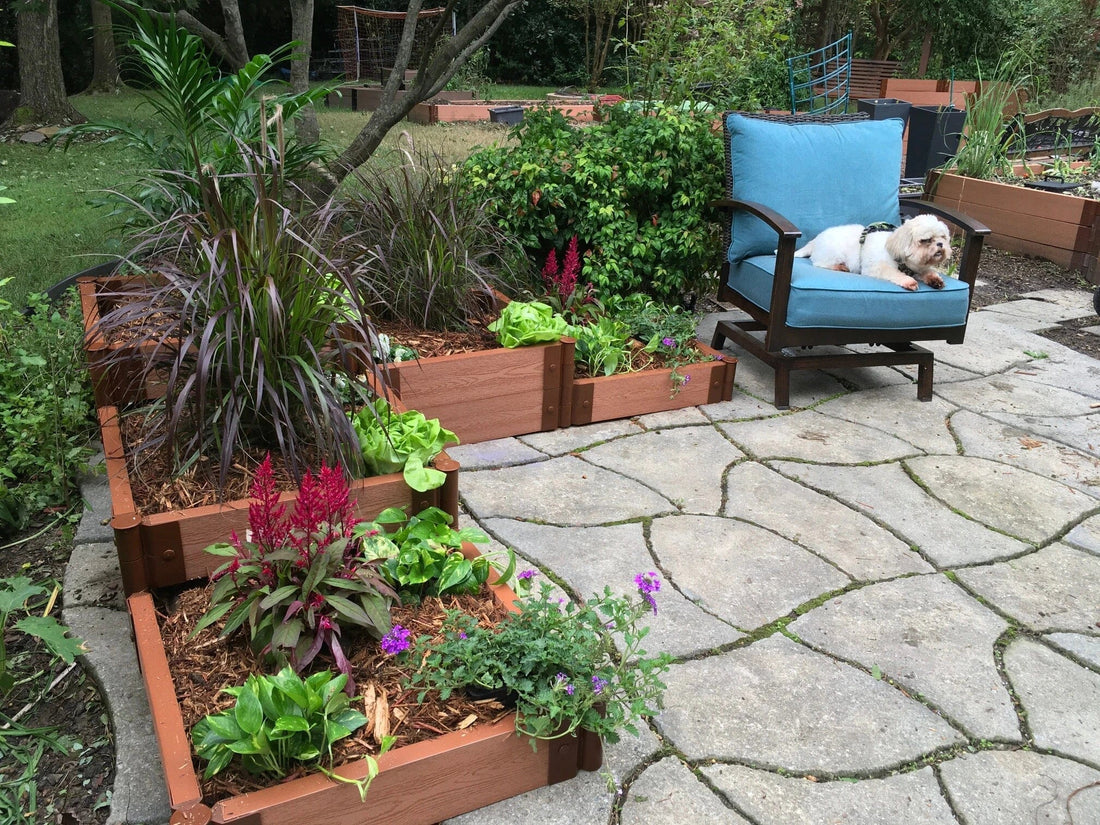 The Ultimate Space Saving Corner Garden Bed Guide