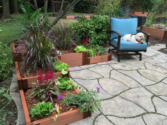 The Ultimate Space Saving Corner Garden Bed Guide