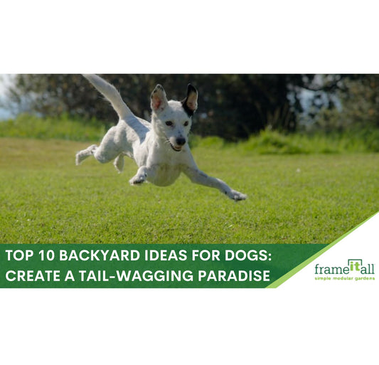 Top 10 Backyard Ideas for Dogs: Create a Tail-Wagging Paradise