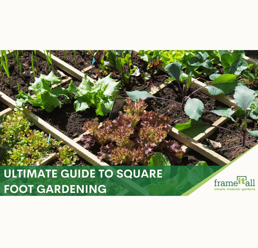 Ultimate Guide to Square Foot Gardening