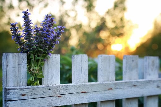 Use These Tips To Maintain Your Fence Year Round