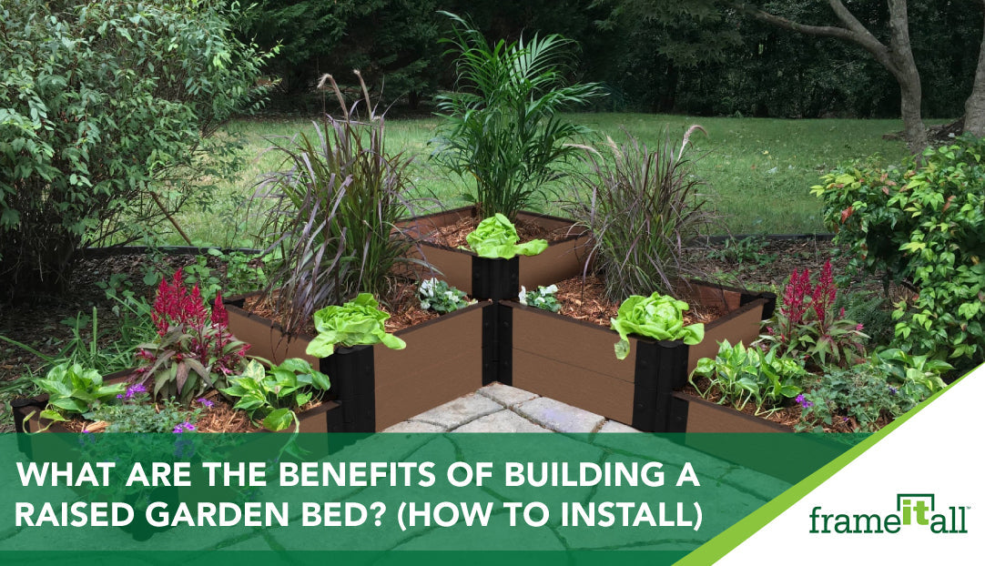 What are the Benefits of Building a Raised Garden Bed? (How To install)