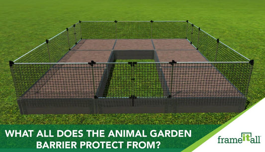 What Does An Animal Garden Barrier Protect From?