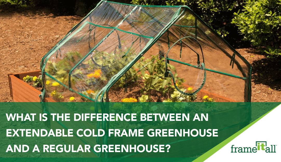 What Is The Difference Between An Extendable Cold Frame Greenhouse & A Regular Greenhouse?