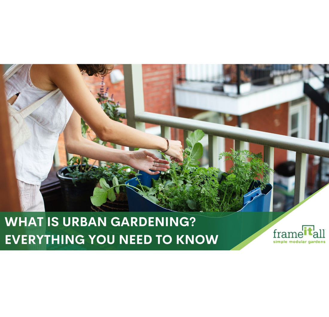 What Is Urban Gardening? Everything You Need To Know