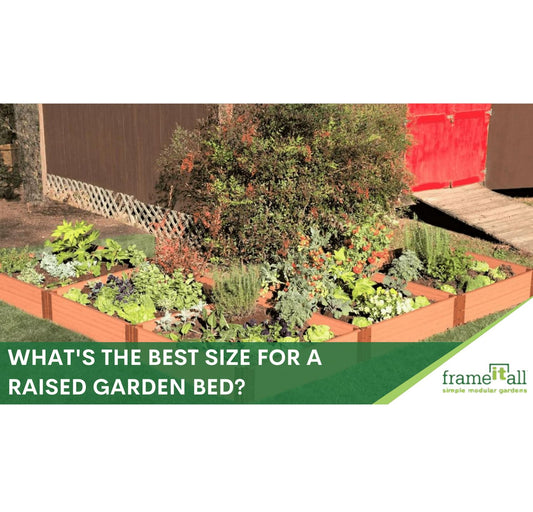 What's the Best Size for a Raised Garden Bed? Ideal size for a raised bed
