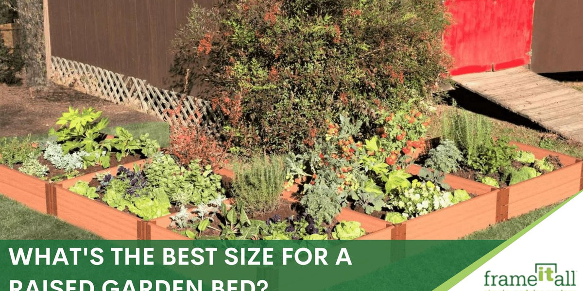 What's the best size for a raised garden bed? Frame It All
