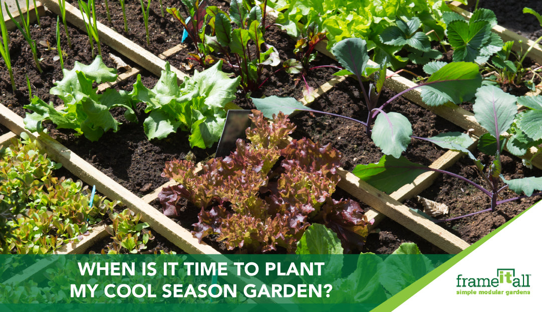 When Is The Right Time of Year To Start Planting In Your Cool Season Garden
