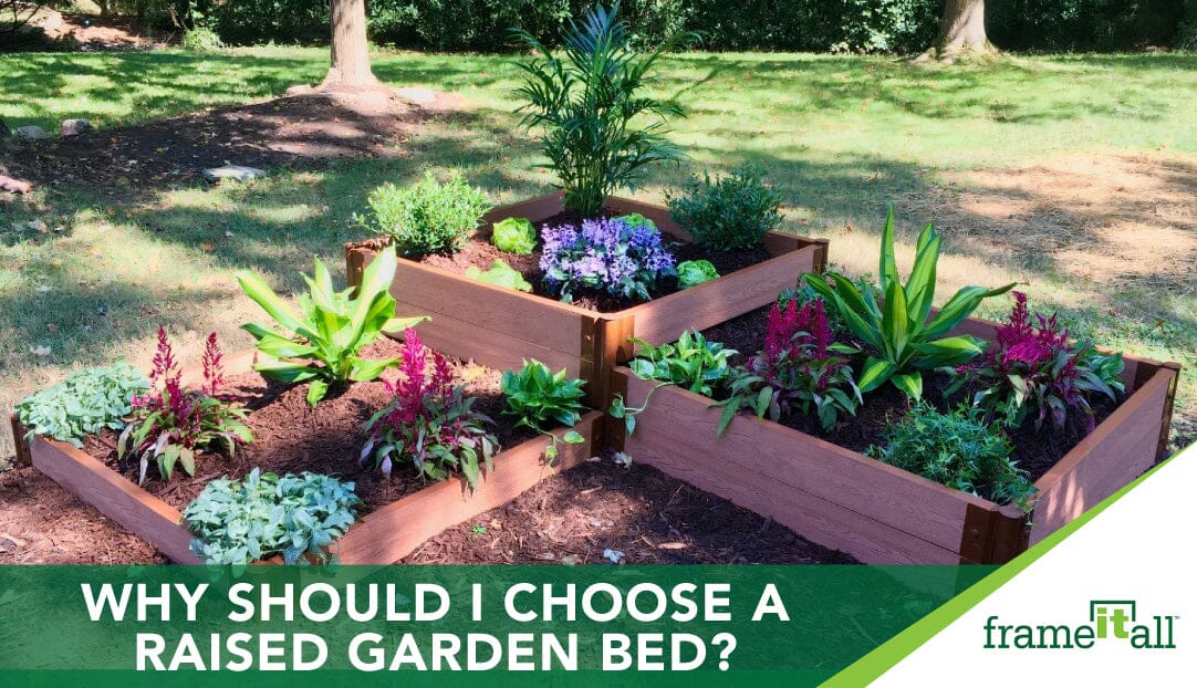 Why Should I Choose A Raised Garden Bed?