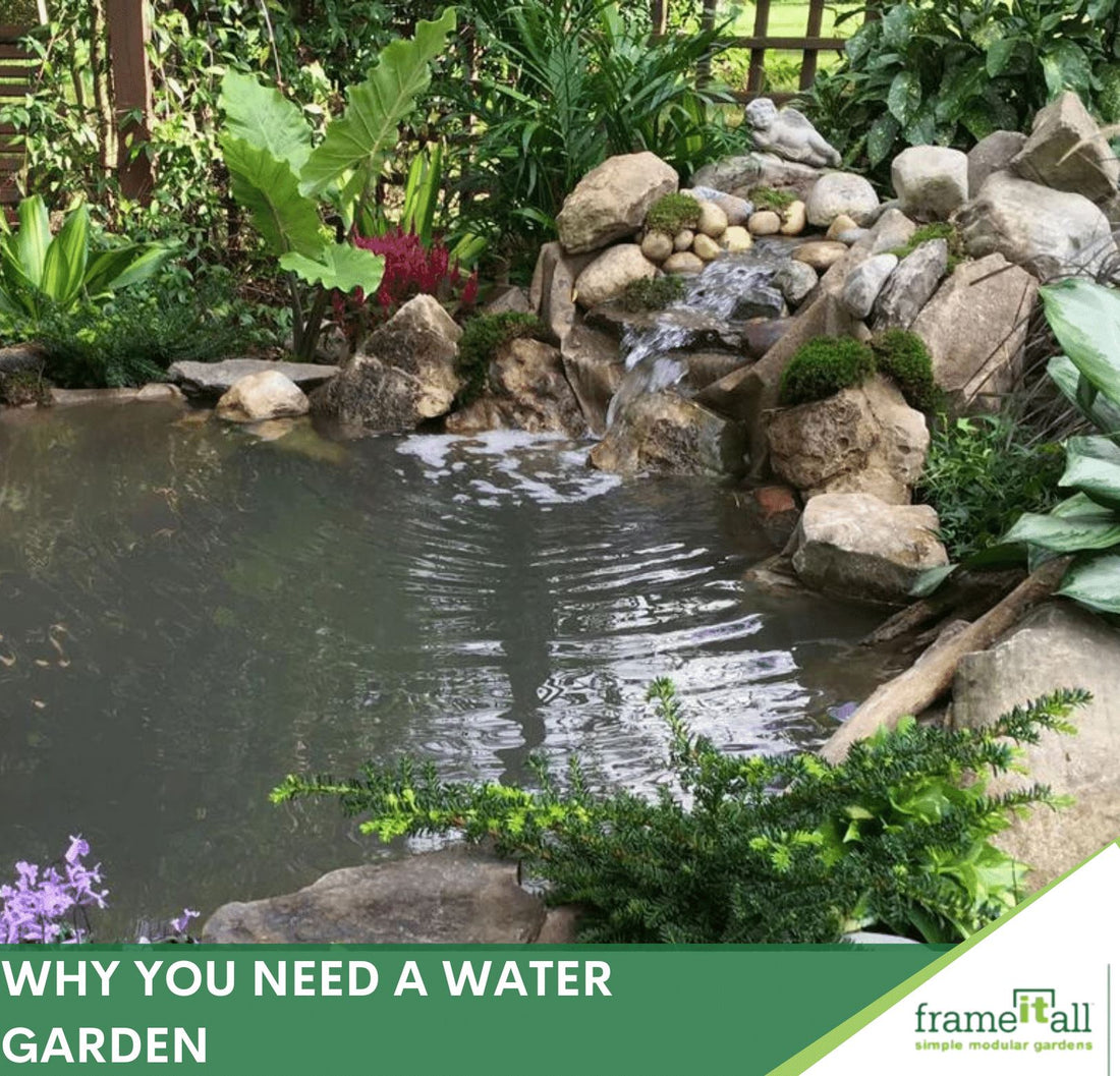 Why You Need a Water Garden