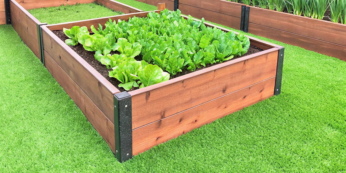 Your Guide to Durable Recycled Plastic Lumber for Garden Beds