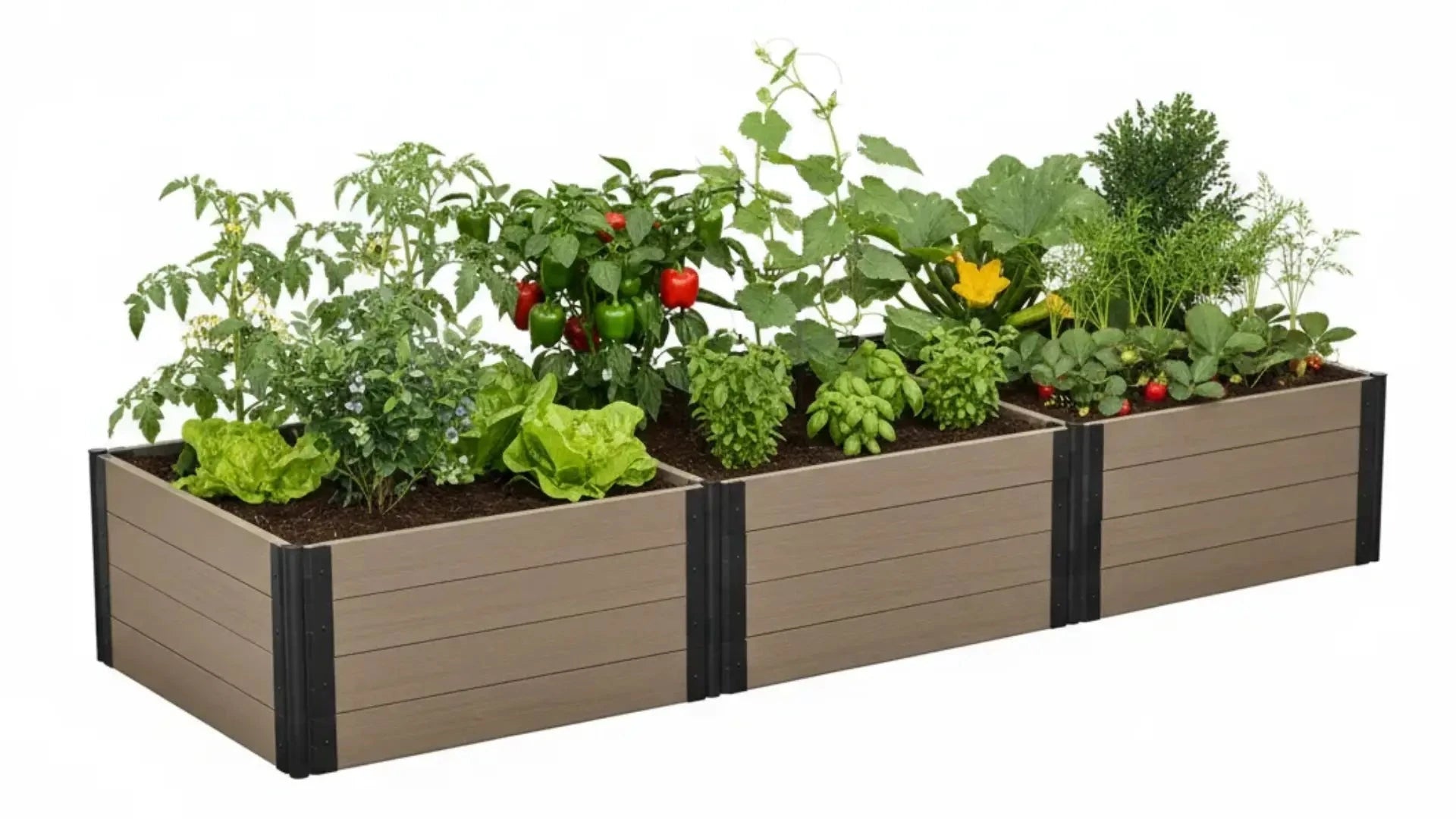 4' x 12' Raised Garden Bed - GardenBLOX Capped Raised Garden Beds Frame It All 