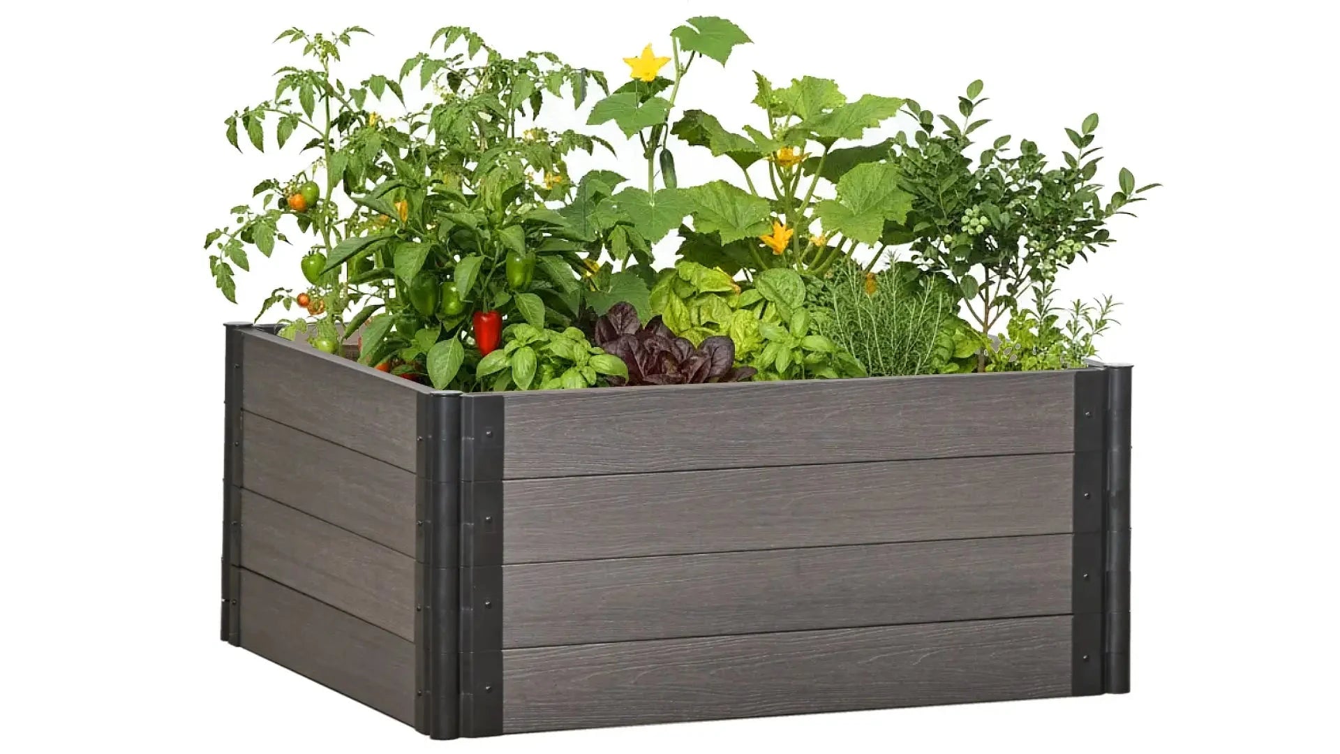 4' x 4' Raised Garden Bed - GardenBLOX Capped Raised Garden Beds Frame It All 