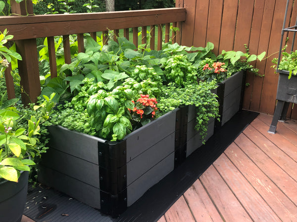 Raised Garden Beds