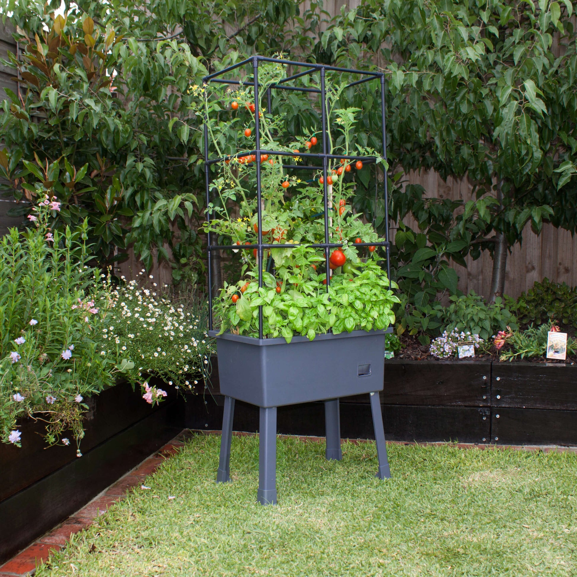 Self-Watering 15.75" x 23.5" x 57" Elevated Planter w/ Trellis Frame and Greenhouse Cover Patio Planters Frame It All 