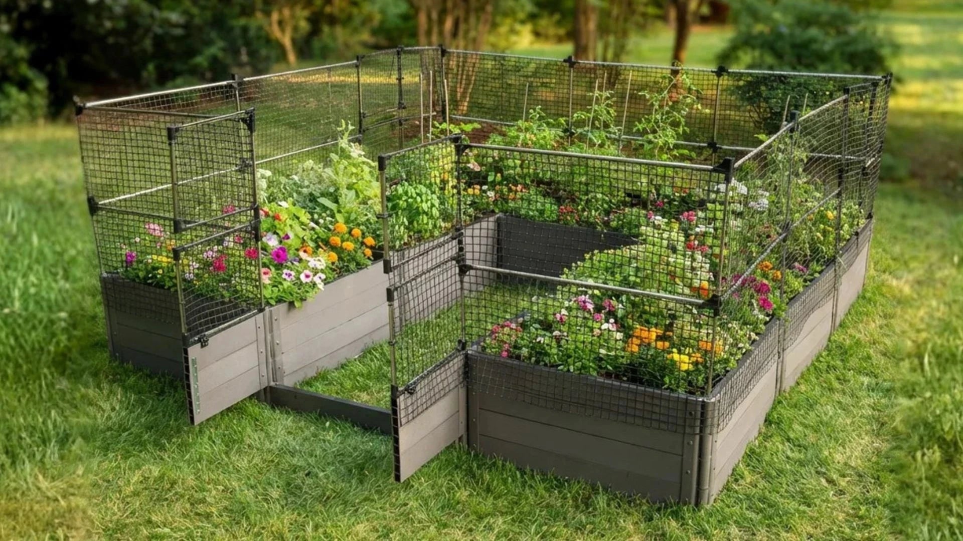 Walk-In Jumbo 12' x 12' Animal Barrier Raised Garden Bed - 2" Profile - GardenBLOX Classic Raised Garden Beds Frame It All 