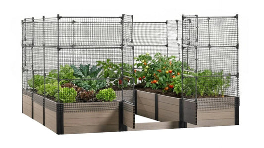 Walk-in Jumbo-U 12' x 12' Animal Barrier Raised Garden Bed - GardenBLOX Capped Raised Garden Beds Frame It All 