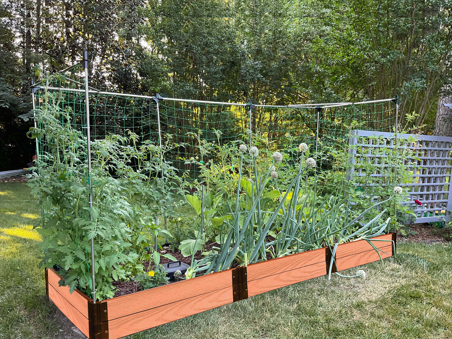 4' x 12' Raised Garden Bed with Trellis Raised Garden Beds Frame It All Classic Sienna 1" 2 = 11"