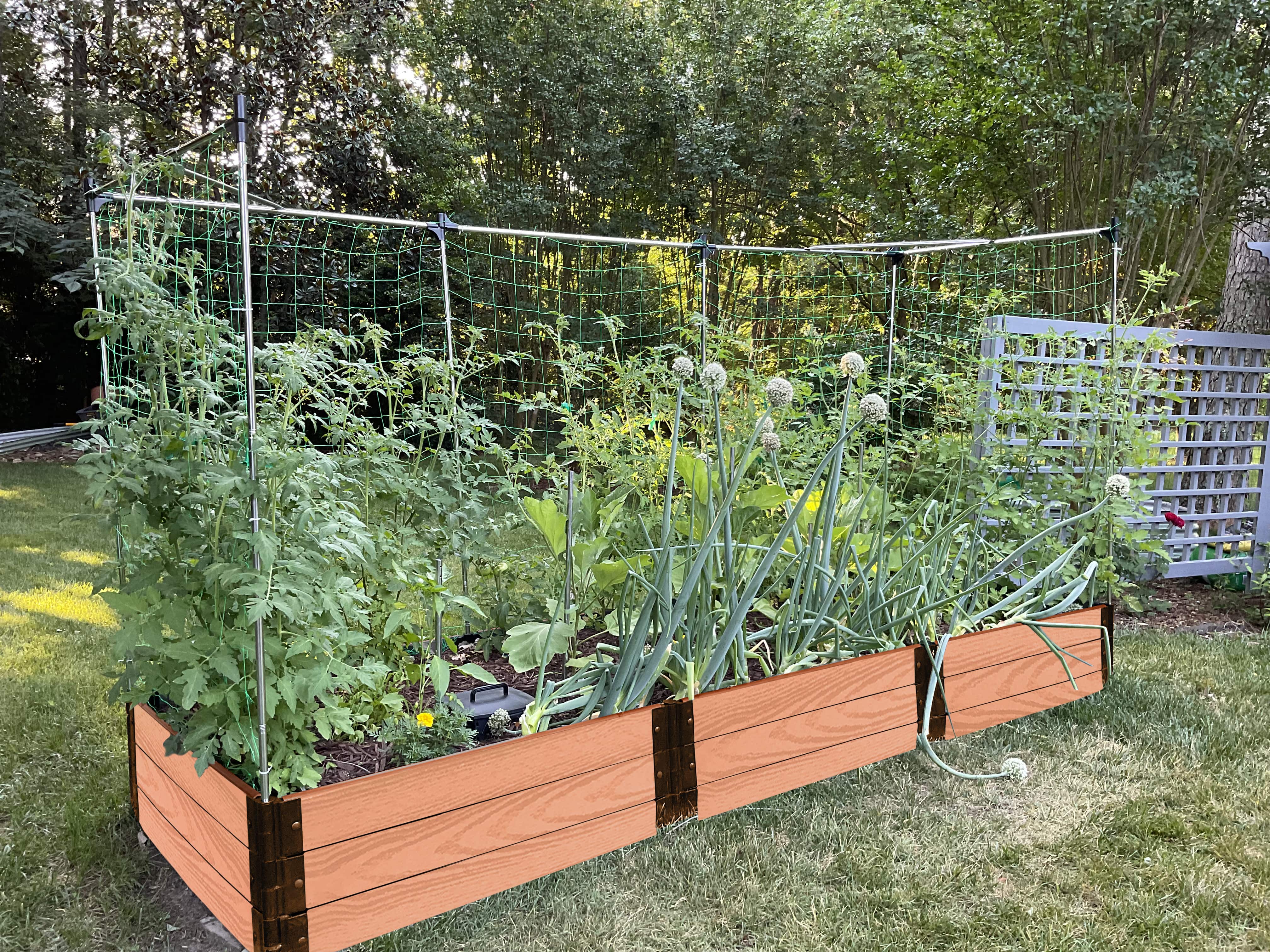 4' x 12' Raised Garden Bed with Trellis – Frame It All