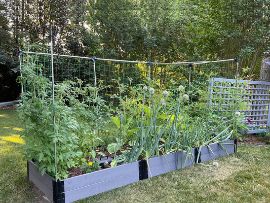 4' x 12' Raised Garden Bed with Trellis Raised Garden Beds Frame It All Weathered Wood 1" 2 = 11"