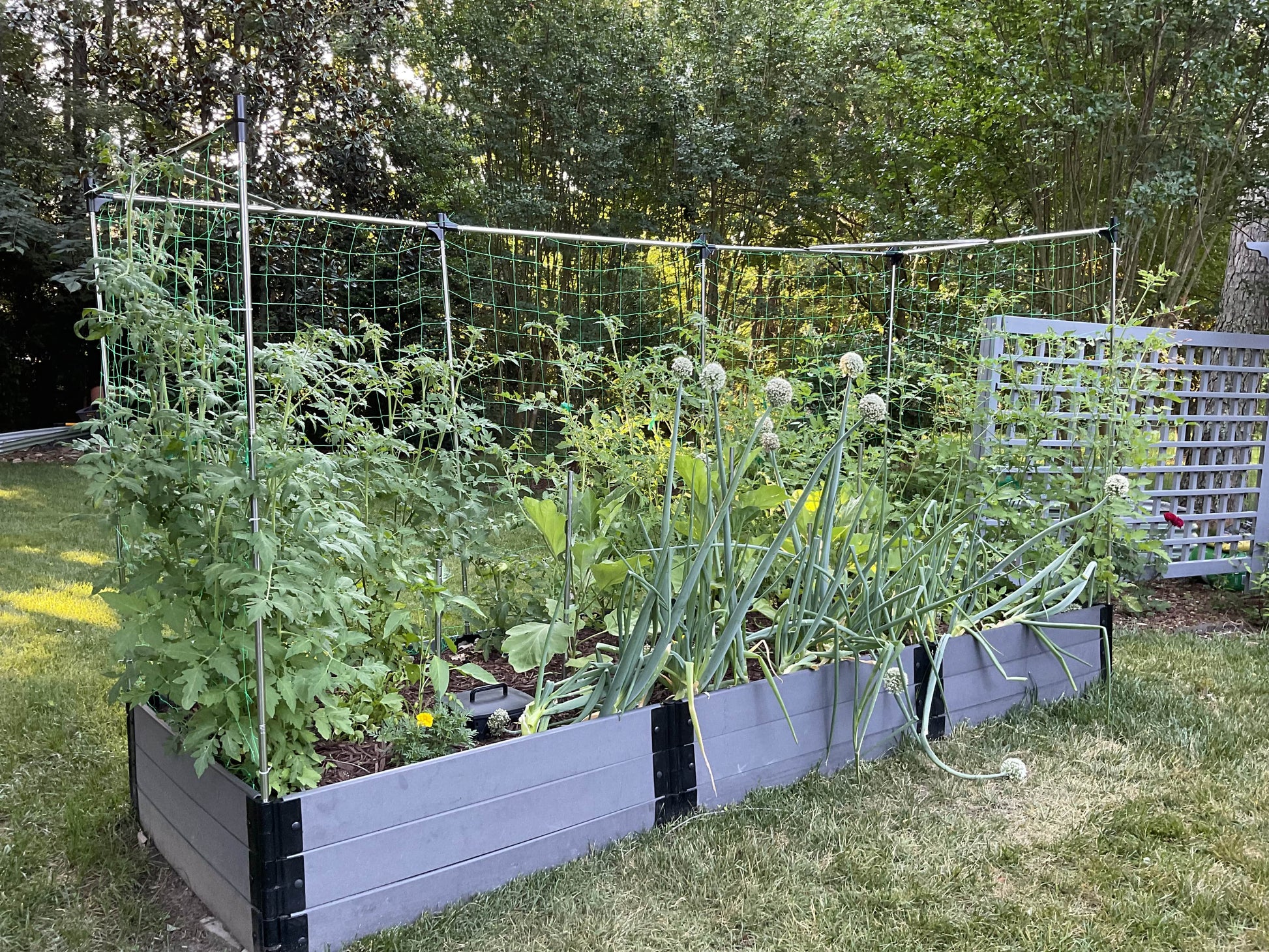 4' x 12' Raised Garden Bed with Trellis Raised Garden Beds Frame It All Weathered Wood 1" 3 = 16.5"