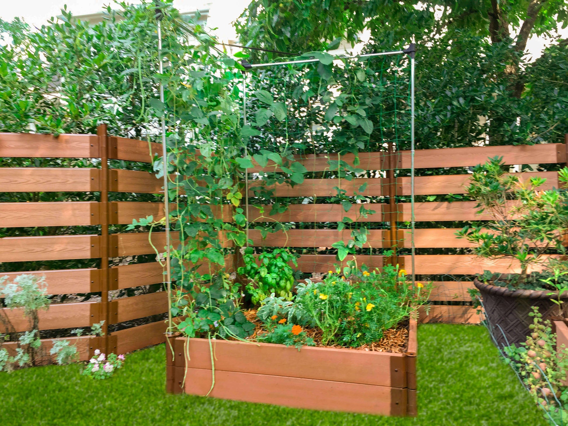 garden planter and trellis 4' x 4' Trellis Garden Bed with Trellis – Easy Raised Planter Classic Sienna / 2" / 16.5"