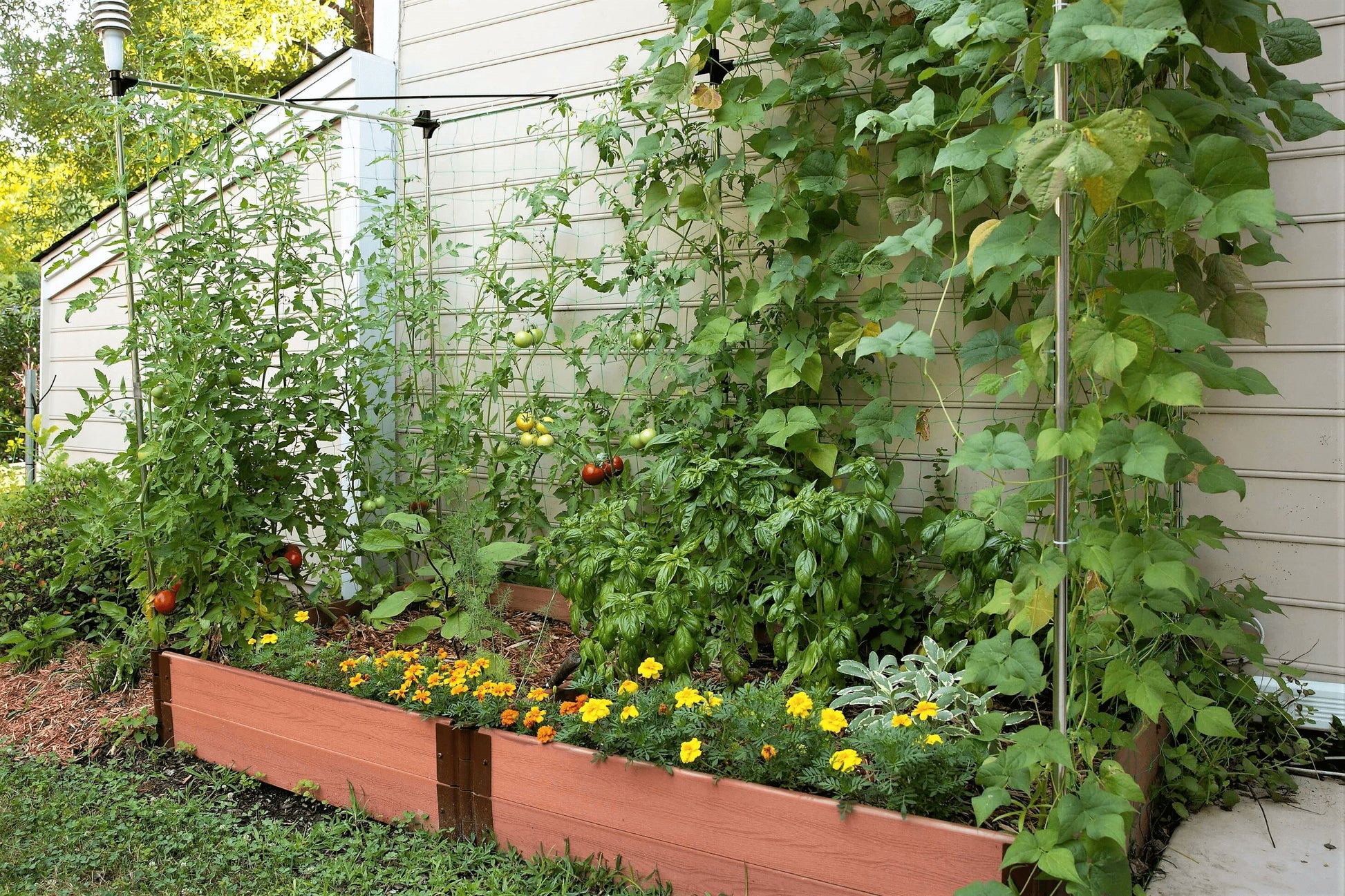 raised garden planter with trellis 4' x 8' Raised Garden Bed with Trellis