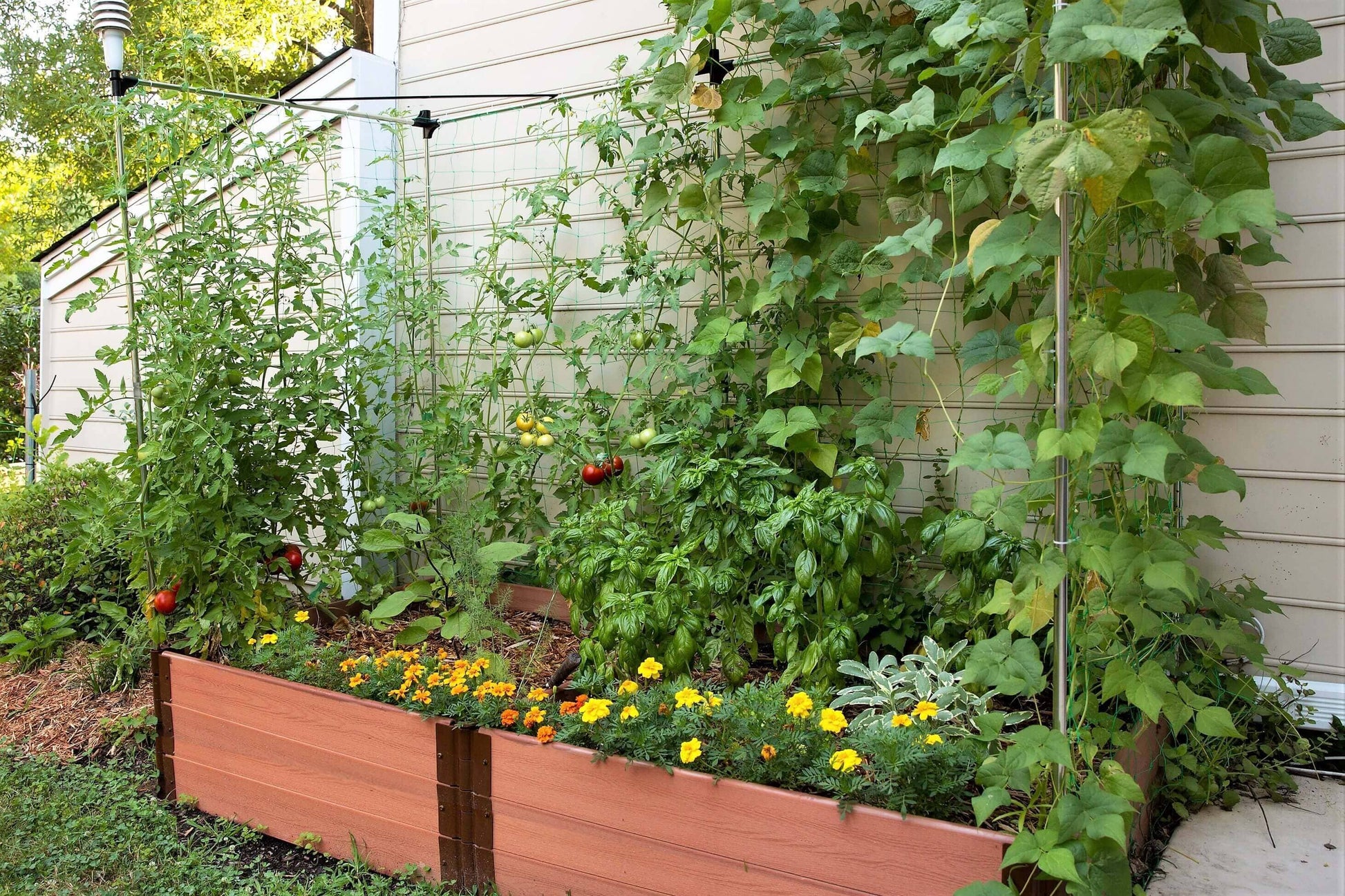 4x8 wood trellis 4' x 8' Raised Garden Bed with Trellis
