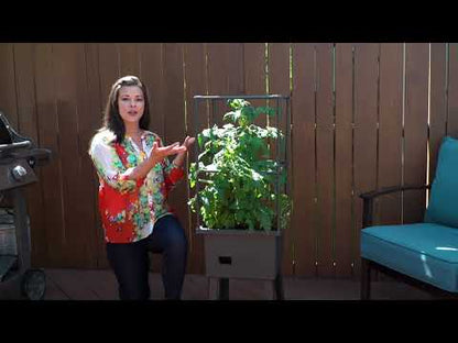 Self-Watering 15.75" x 31.5" x 63" Elevated Planter w/ Trellis Frame and Greenhouse Cover