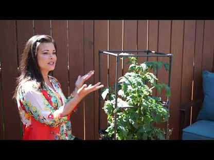 Self-Watering 15.75" x 31.5" x 63" Elevated Planter w/ Trellis Frame and Greenhouse Cover